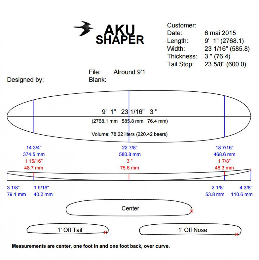Repartez avec votre SURF Longboard 9.1